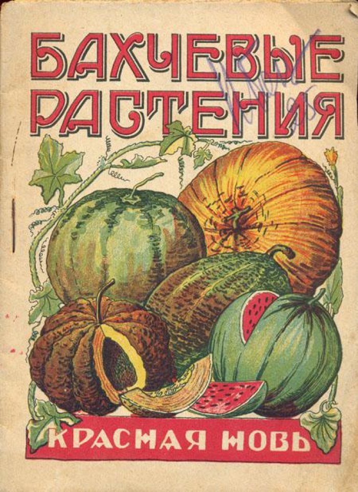 Грацианов, П. Бахчевые растения.