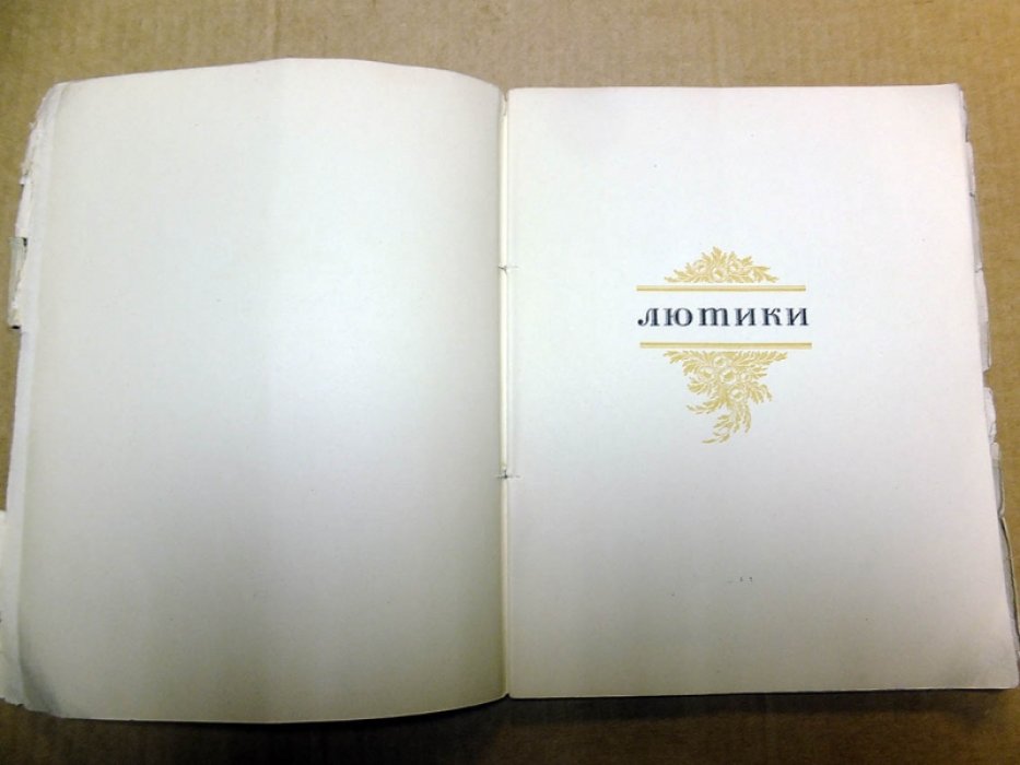 Бутягина В. Лютики.