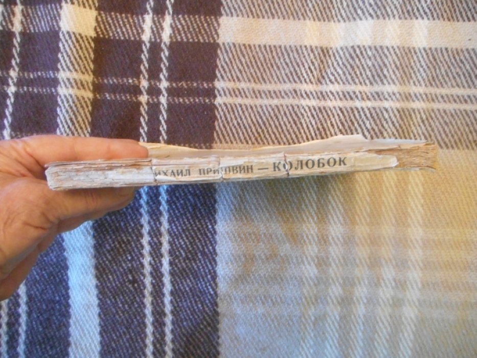 Пришвин М.М. Колобок.