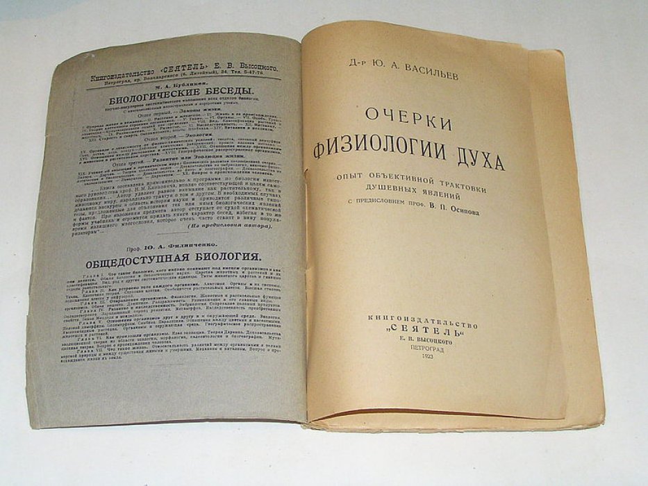 Васильев Ю.А. Очерки физиологии Духа.
