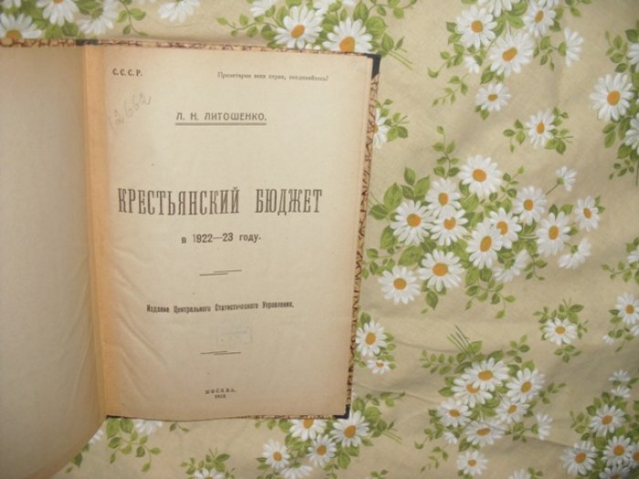 Литошенко Л. Н. Крестьянский бюджет в 1922 - 23 году .