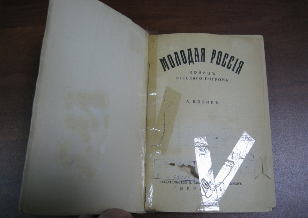 Волин А. Молодая Россия. Конец русского погрома.