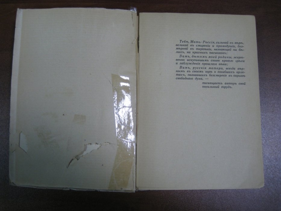 Волин А. Молодая Россия. Конец русского погрома.