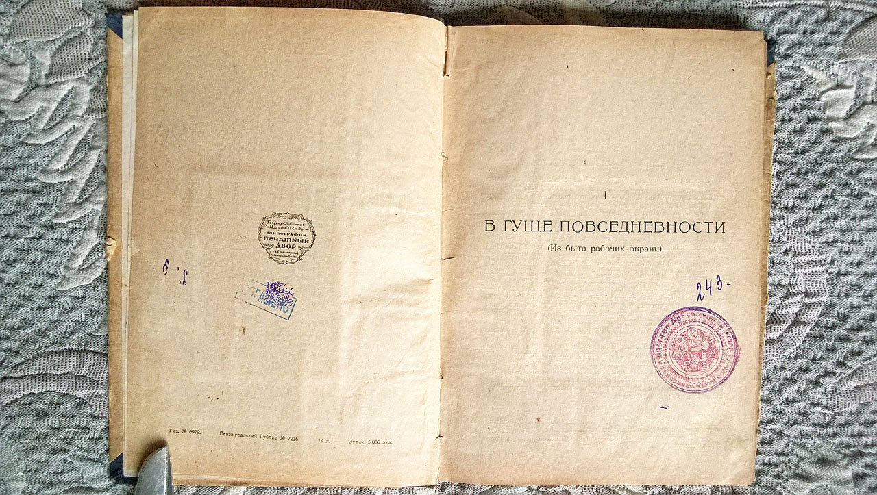Чадаев В.Н. В гуще повседневности: Бытовые очерки 1923 г.