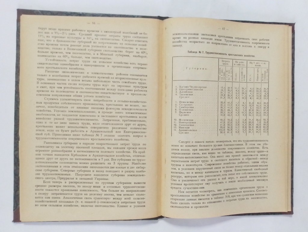 Литошенко,Л.Н. Крестьянский бюджет в 1922-23 году.