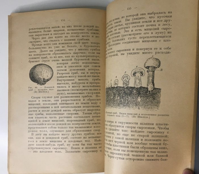 Ягодовский К. Летние работы по естествознанию.