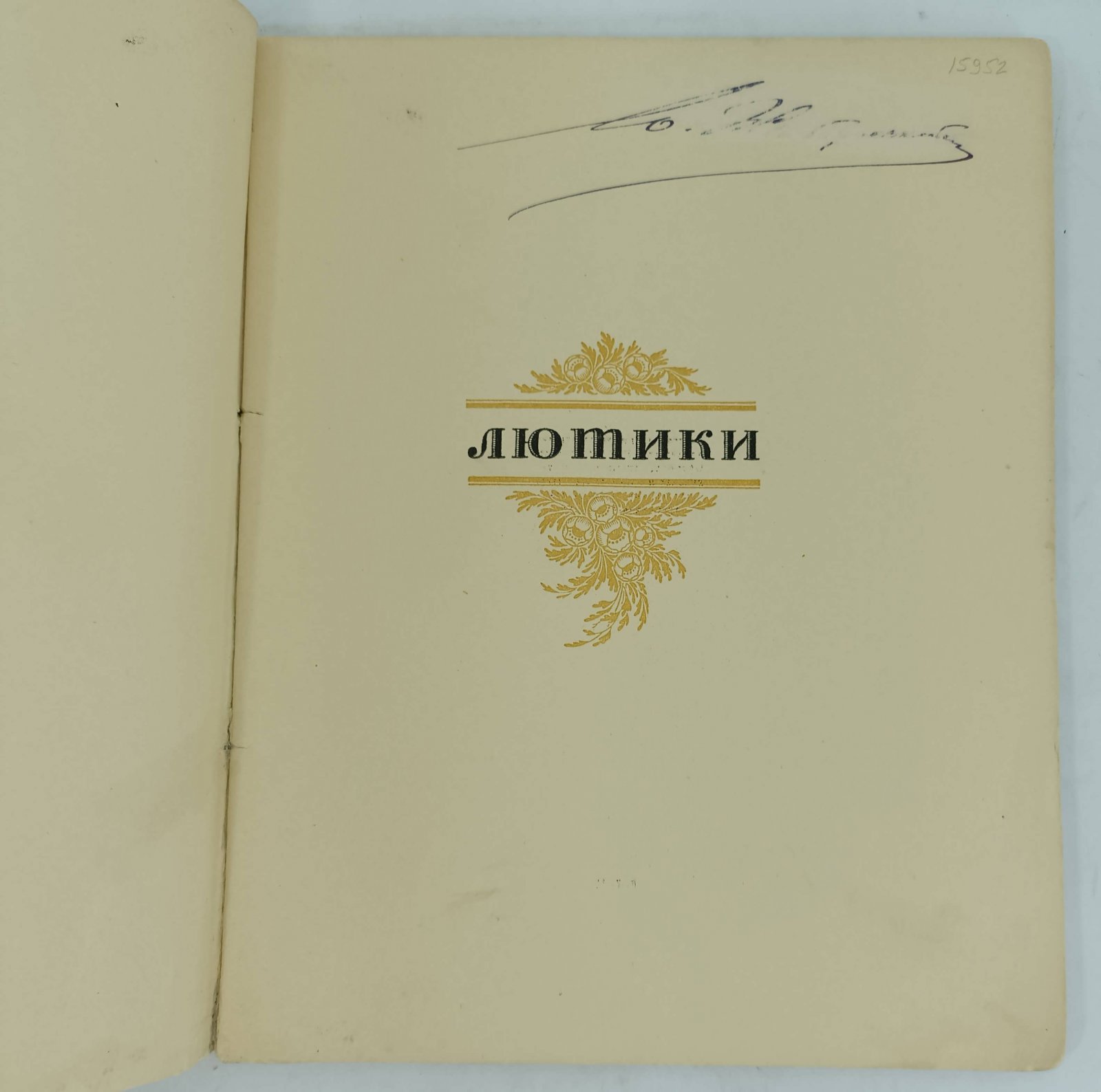 Бутягина Варвара. Лютики.