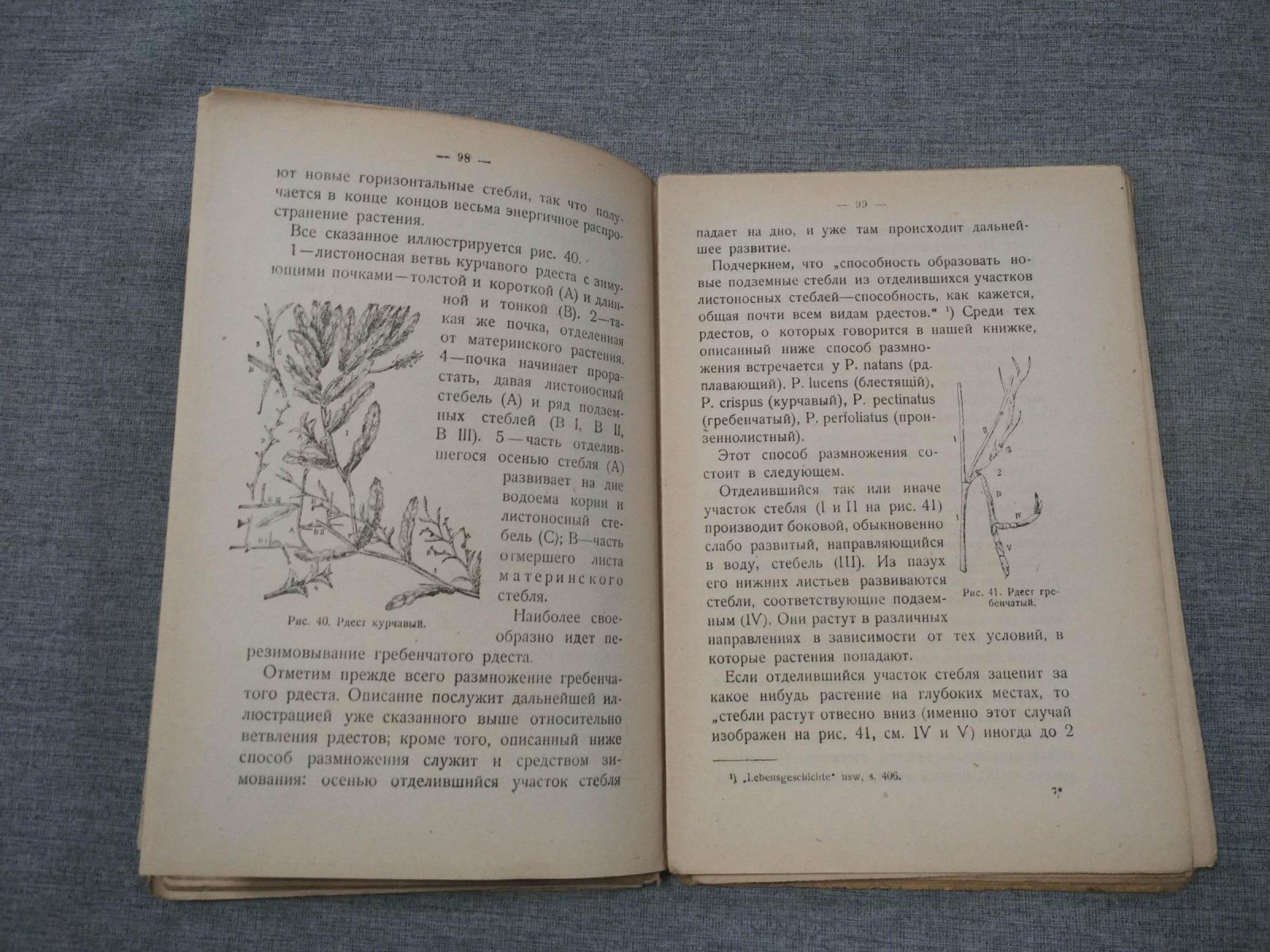 Аржанов С.П. Среди вод и болот. Популярные-биологические очерки из жизни растений для самостоятельных и школьных экскурсий.