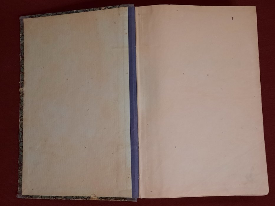 Фридлянд Ц., Слуцкий А. История революционного движения Западной Европы (1789-1914).