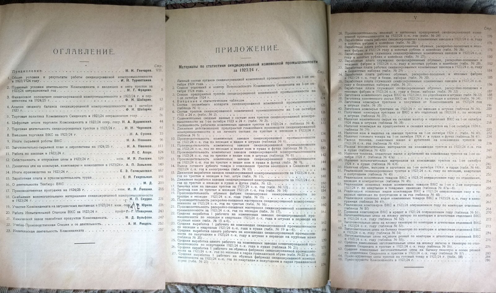 Синдицированная кожевенная промышленность за 1923-24 г.