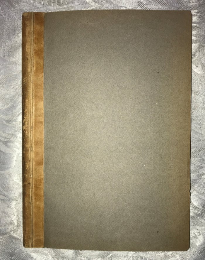 Станишевский В.П. Кустарный край (Ленинискй уезд Московской губернии). Статистико-экономический очерк.