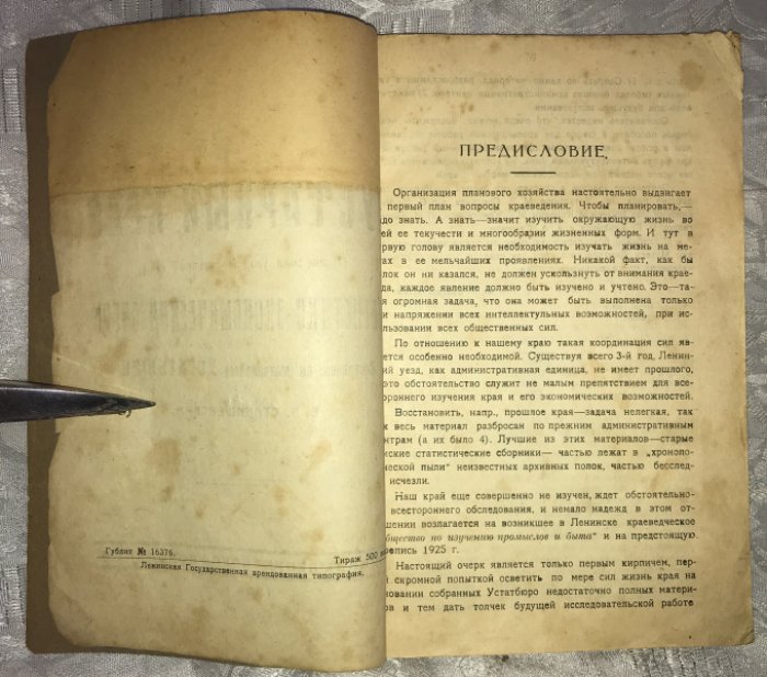 Станишевский В.П. Кустарный край (Ленинискй уезд Московской губернии). Статистико-экономический очерк.