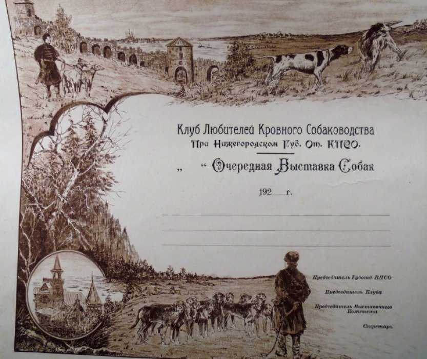 Диплом Нижегородского клуба любителей собаководства.