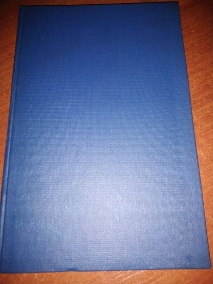 Буревой Клим. Распад. 1918-1922.