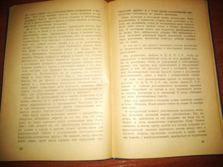 Буревой Клим. Распад. 1918-1922.