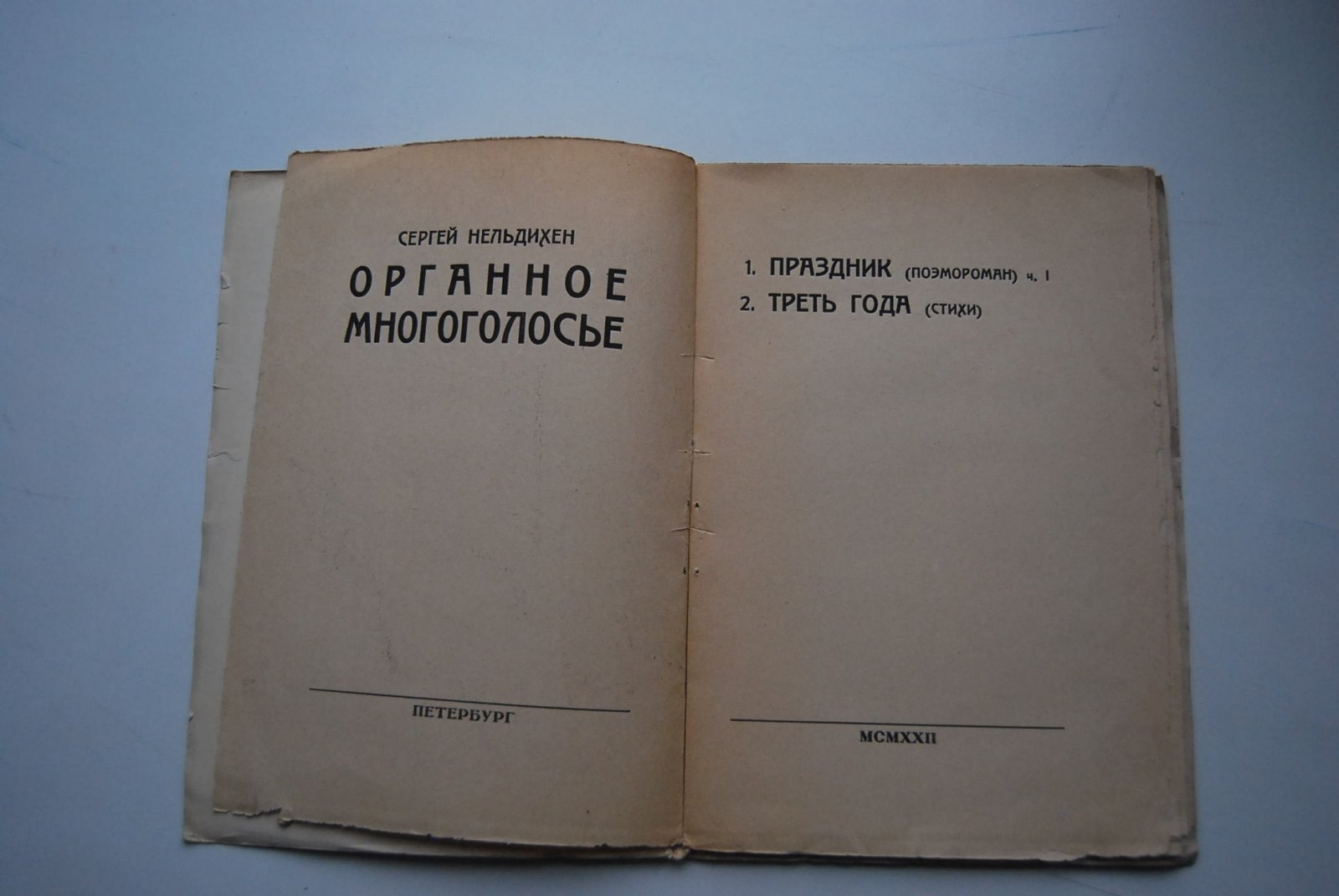 Сергей Нельдихен. Органное многоголосье. 1. Праздник (поэмороман) ч. I. 2. Треть года (стихи).