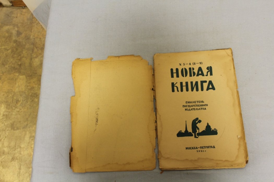 Новая книга. Бюллетень государственного издательства. №3-4 (8-9). Специальный номер к пятилетию петроградского отделения Государственного издательства. (1918-1923).