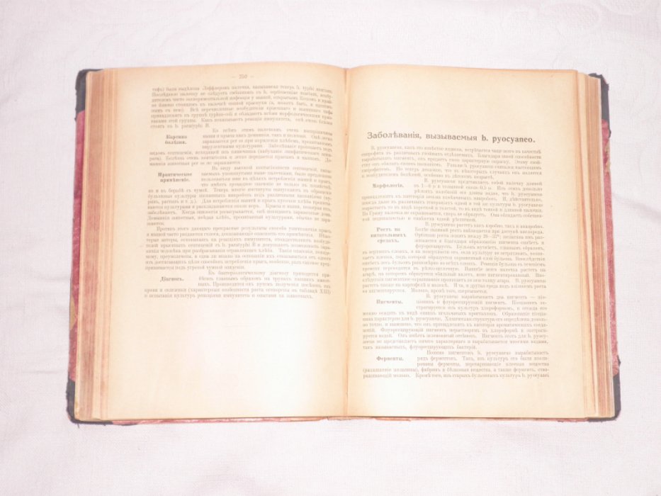 Абрамов С,С. Патогенные микроорганизмы.