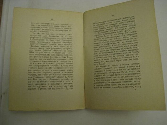 Княжнин В.Н. Александр Александрович Блок.