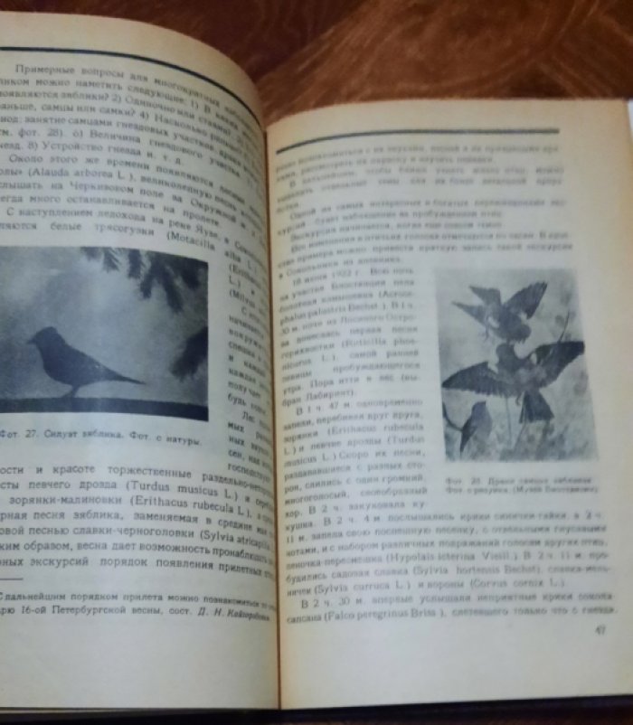 Всесвятский Б.В. Экскурсии в природу Сокольников.