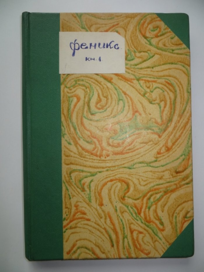 Феникс. Книга первая.