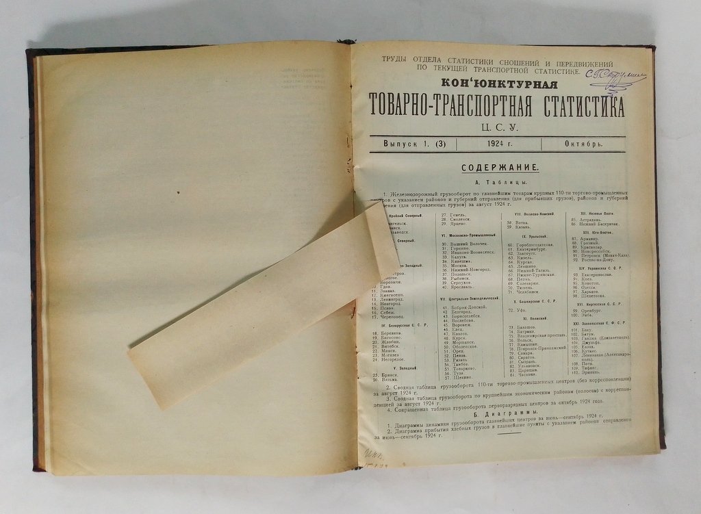 Конъюнктурная товарно-транспортная статистика.