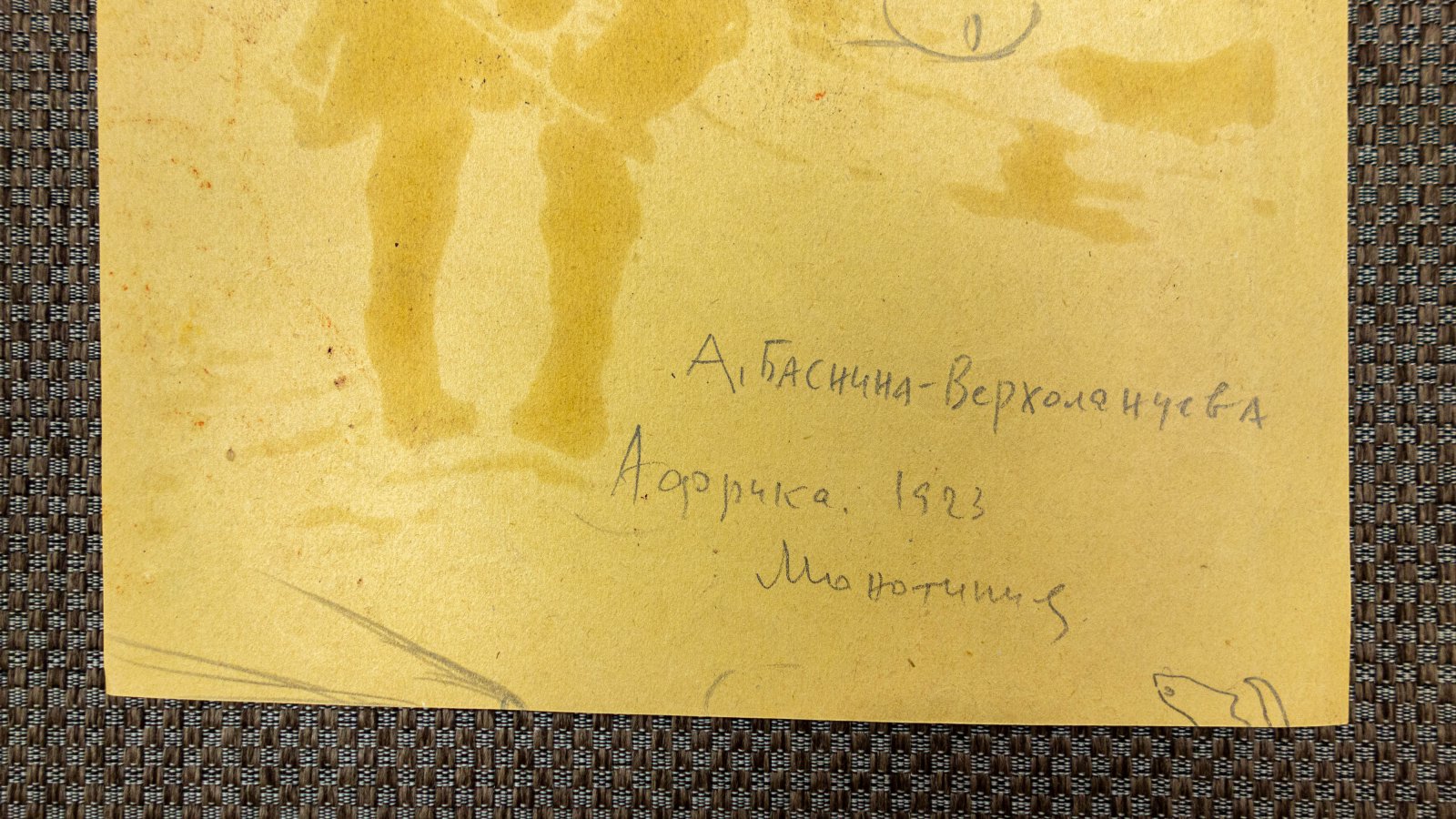 Баснина-Верхоланцева, А.Н. Африка.