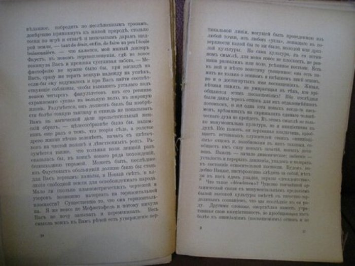 Гершензон М. О. и В. Иванов. Переписка из двух углов.