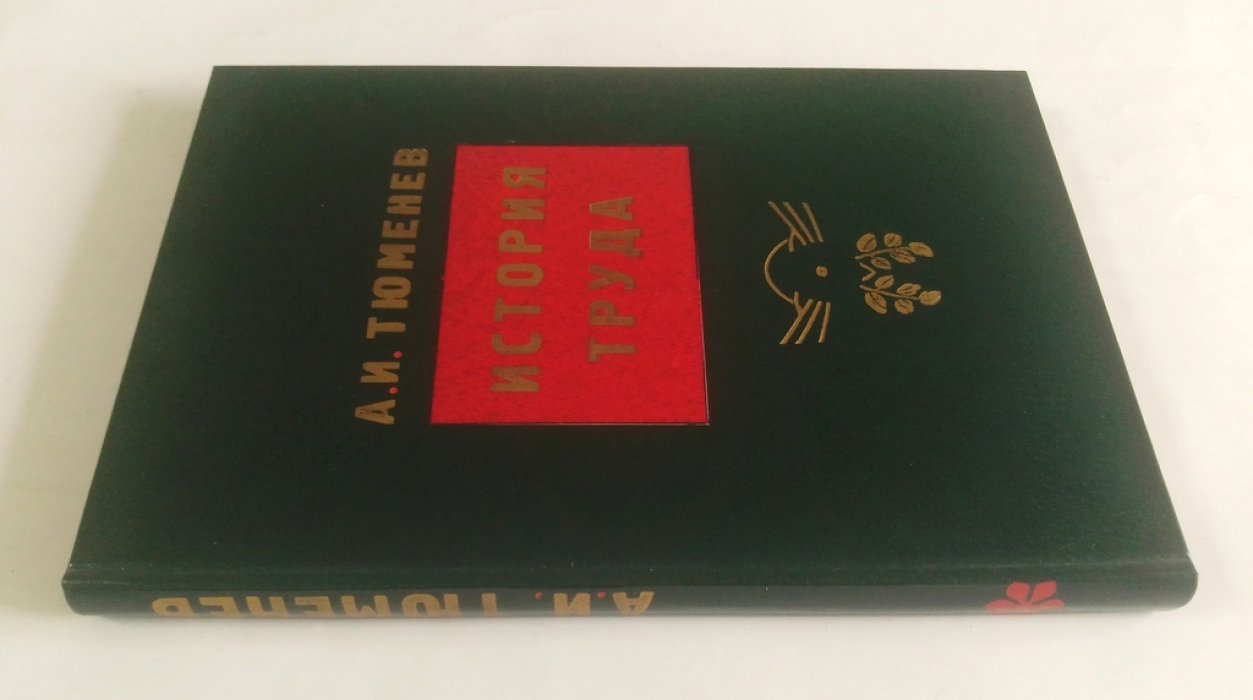 Тюменев, А.И. История труда.