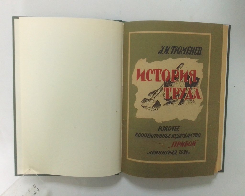 Тюменев, А.И. История труда.