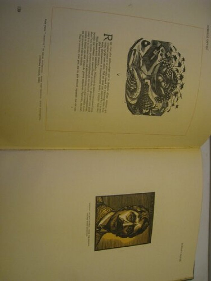 Pichon Leon. The new book-illustration in France.
