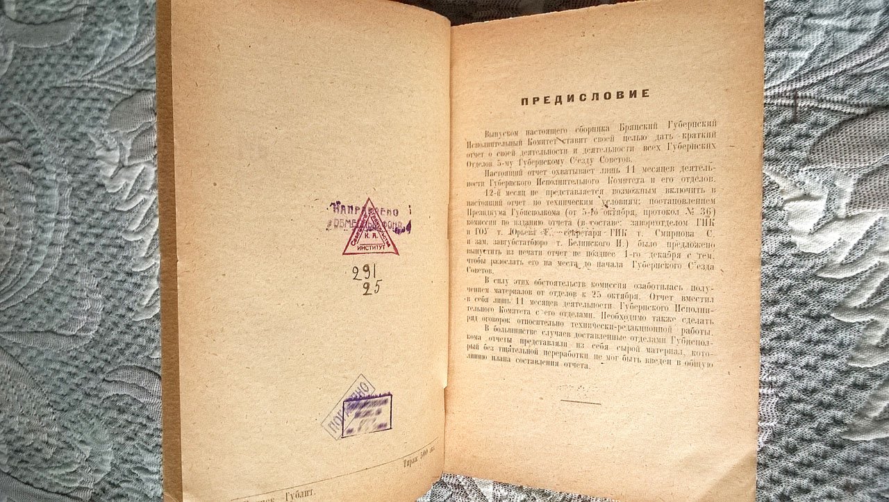 Отчет Брянского губернского исполнительного комитета 4-го созыва 5-му губернскому съезду советов.