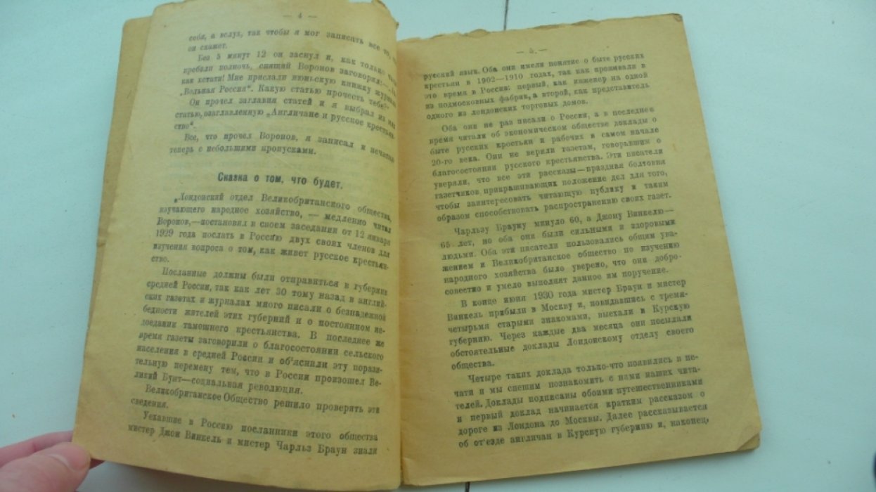 Карелин А. Россия в 1930 году.