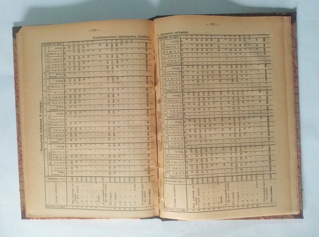 Экономическое расслоение крестьянства в 1917 и 1919 г.