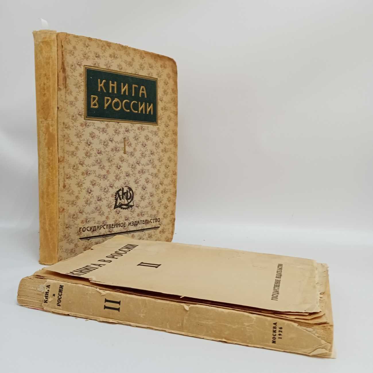 Книга в России. В двух частях.