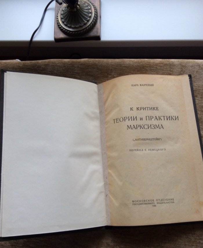 Каутский Карл. К критике теории и практики марксизма.