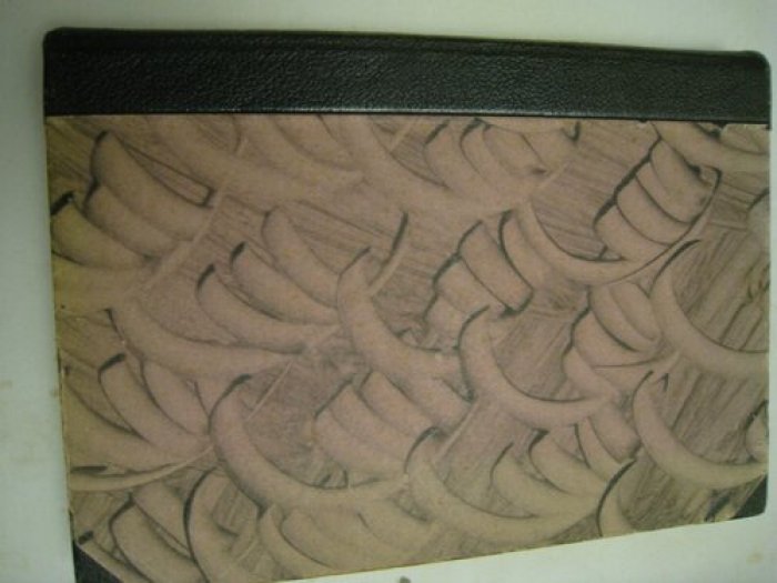 Toth Karl. Biscuit de sevres.