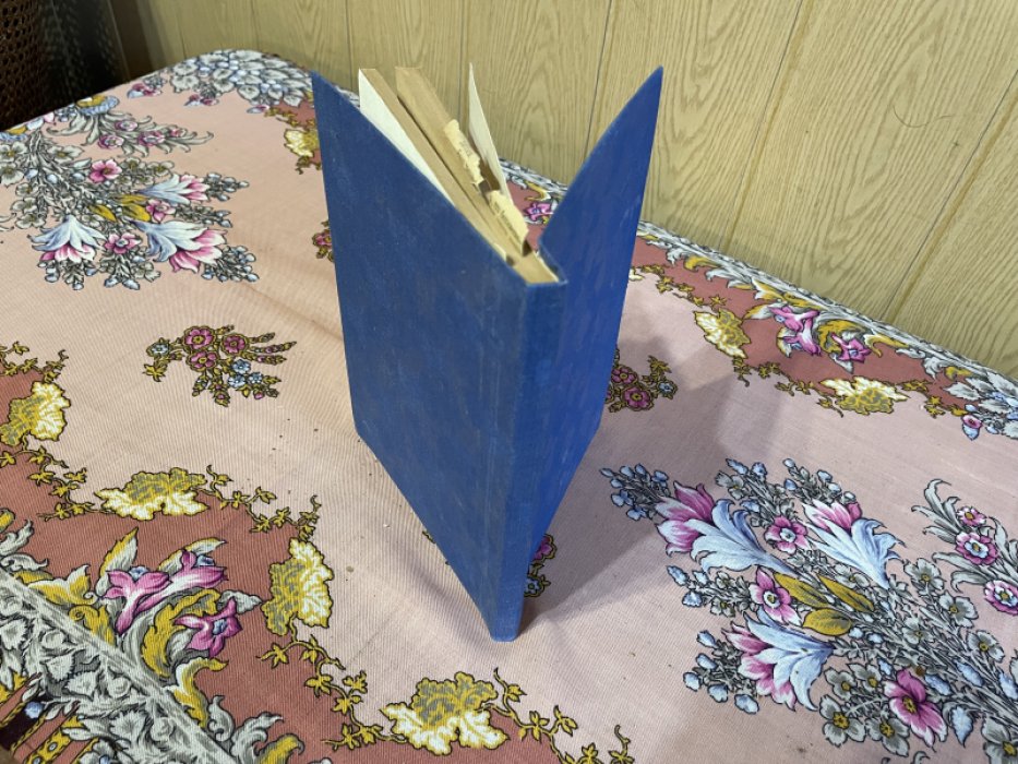 Драницын С. Конституция СССР и РСФСР.
