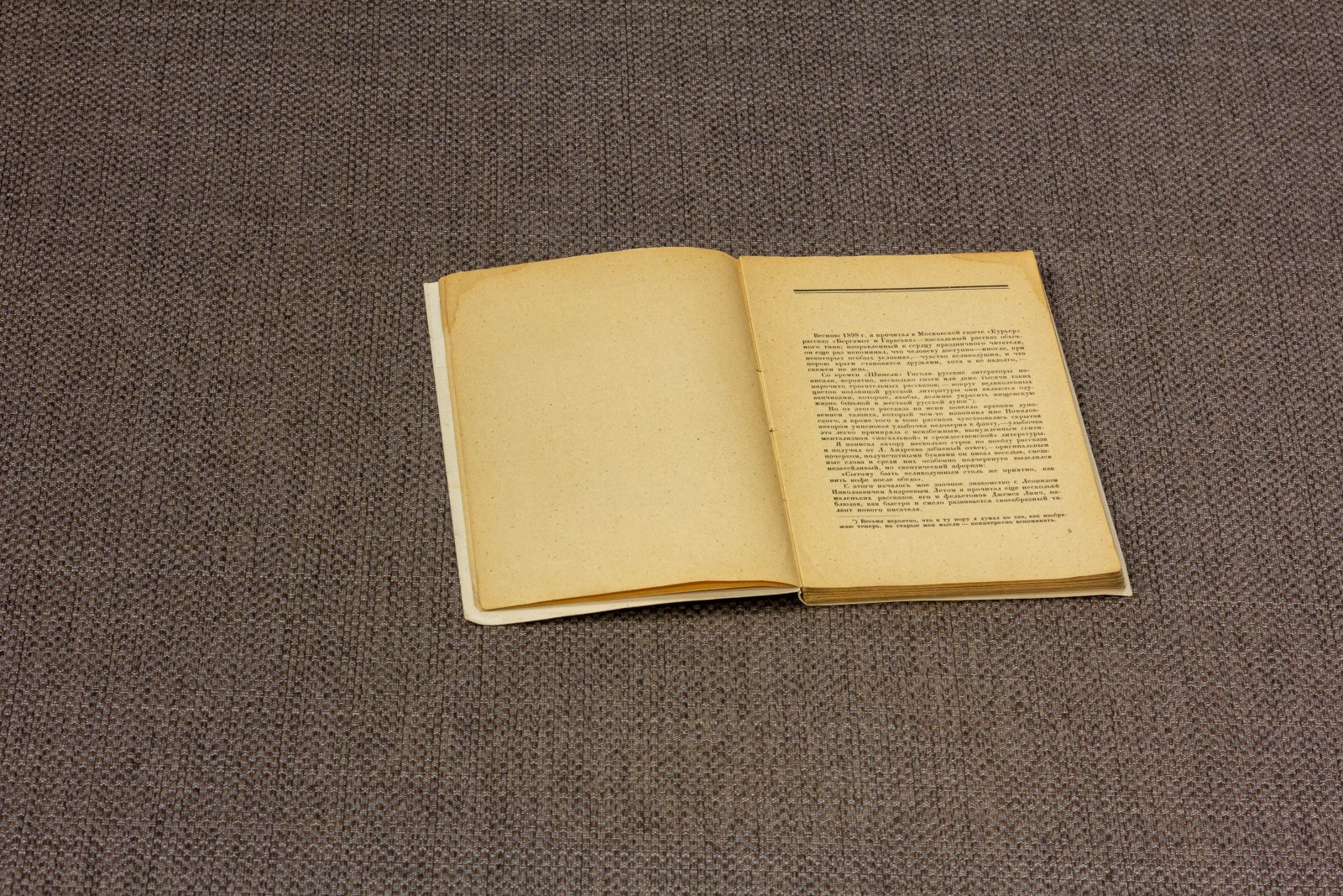 Книга о Леониде Андрееве.