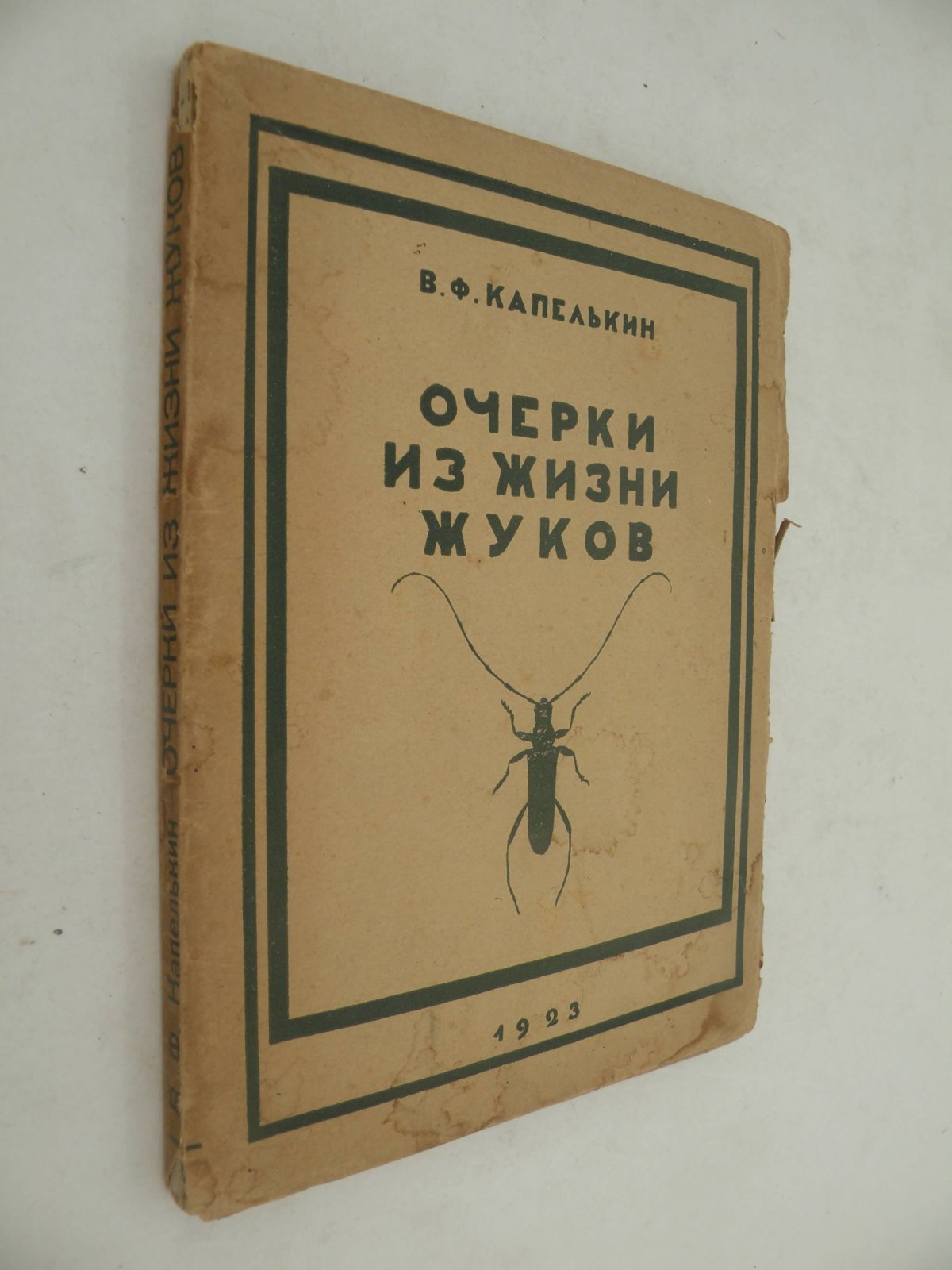 Капелькин В.Ф. Очерки из жизни жуков.