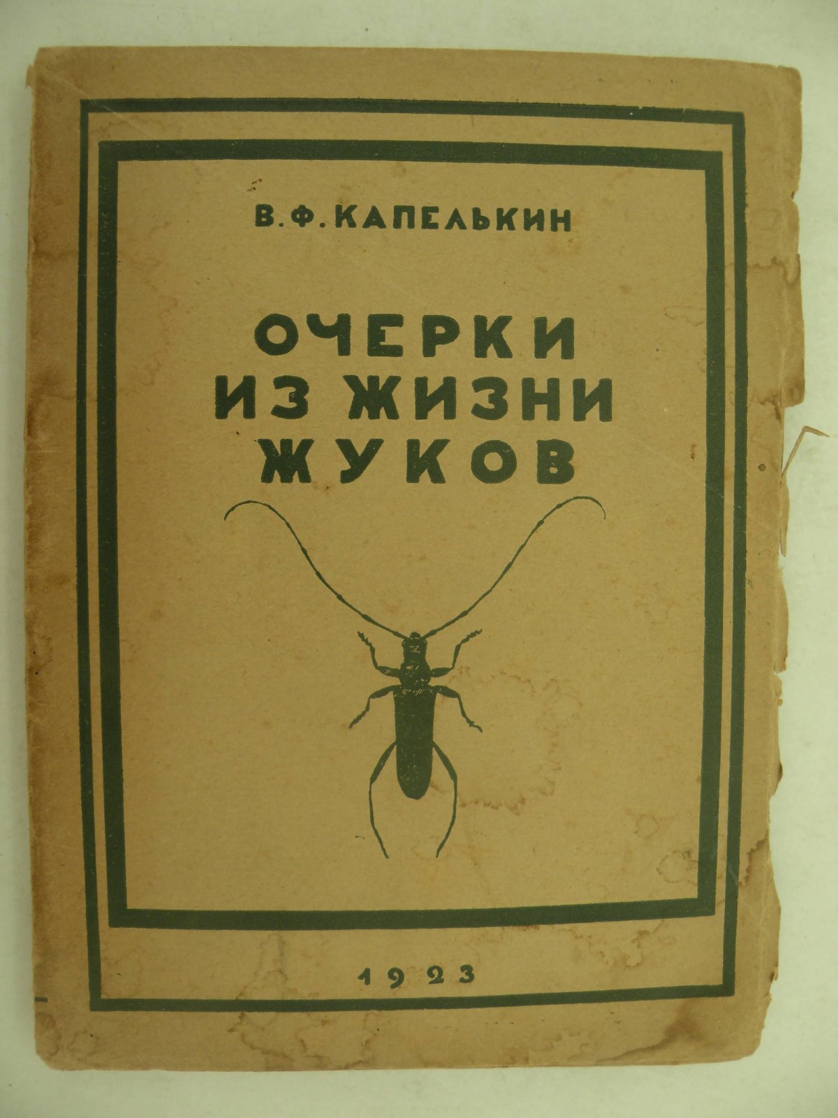 Капелькин В.Ф. Очерки из жизни жуков.