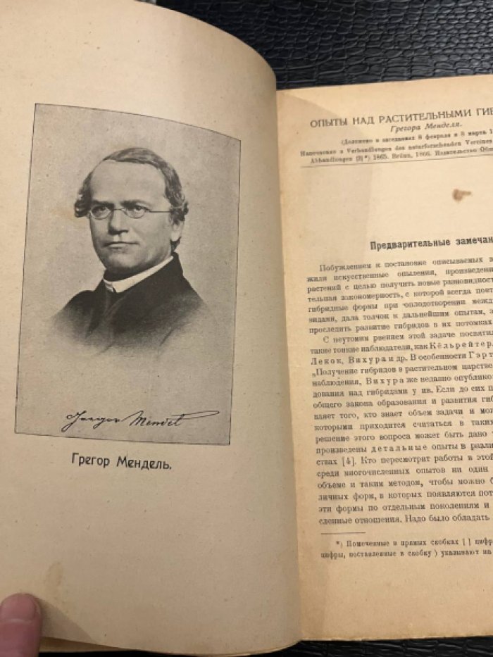 Мендель Г.  Опыты над растительными гибридами. 