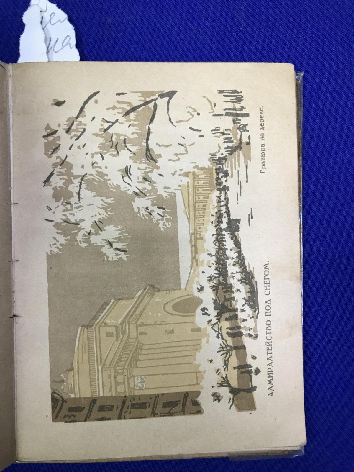 Адарюков В.Я., профессор. А.П. Остроумова-Лебедева.