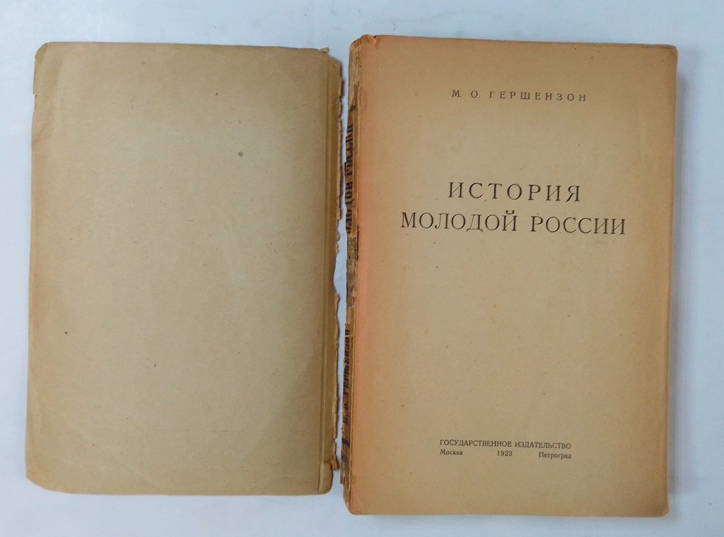 Гершензон М.О. История молодой России.