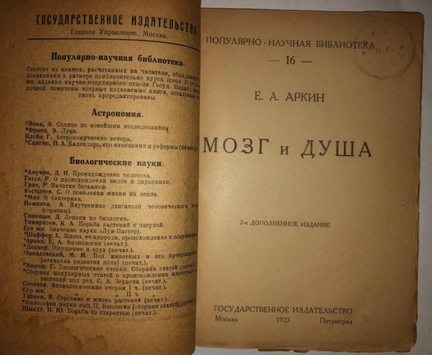Аркин Е.А. Мозг и душа.