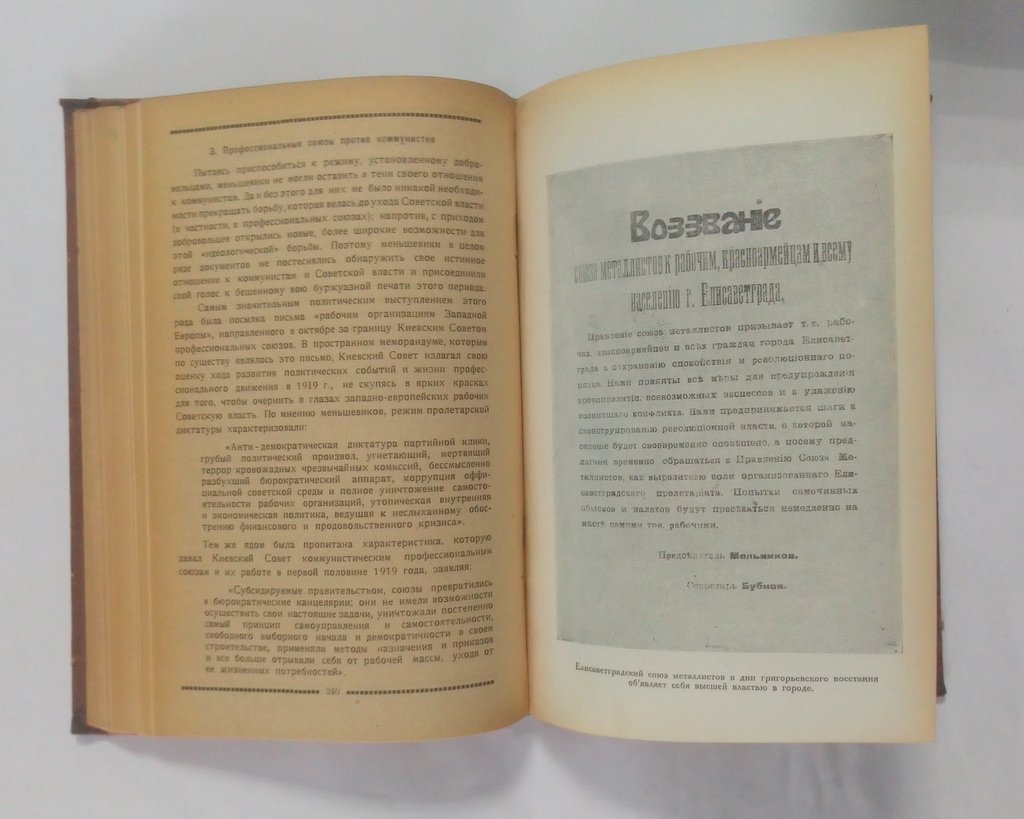 Колесников, Б. Профессиональное движение и контр-революция.