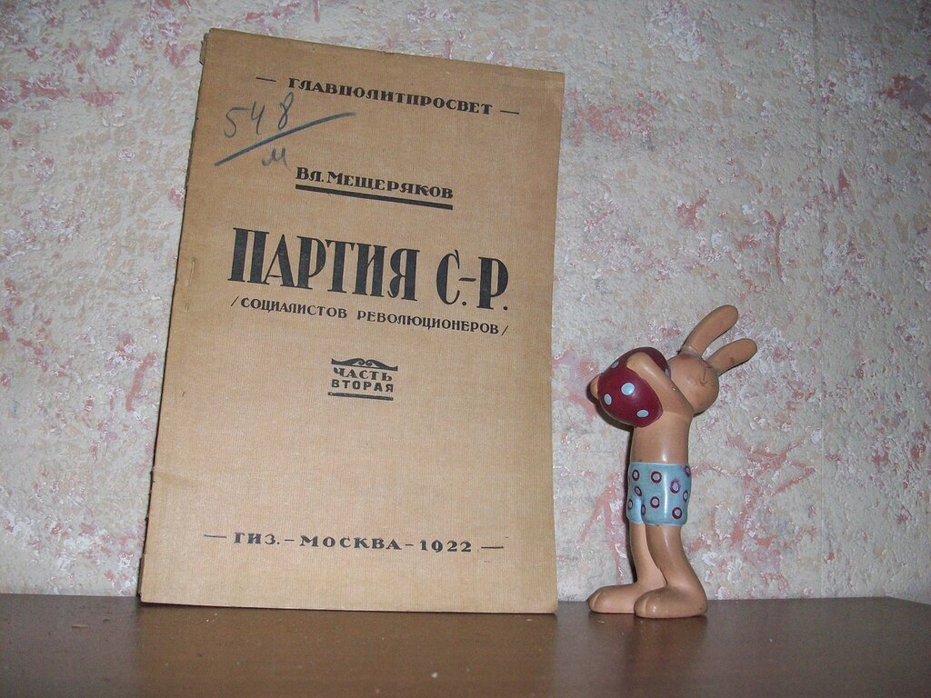 Мещеряков В. Партия С-Р.