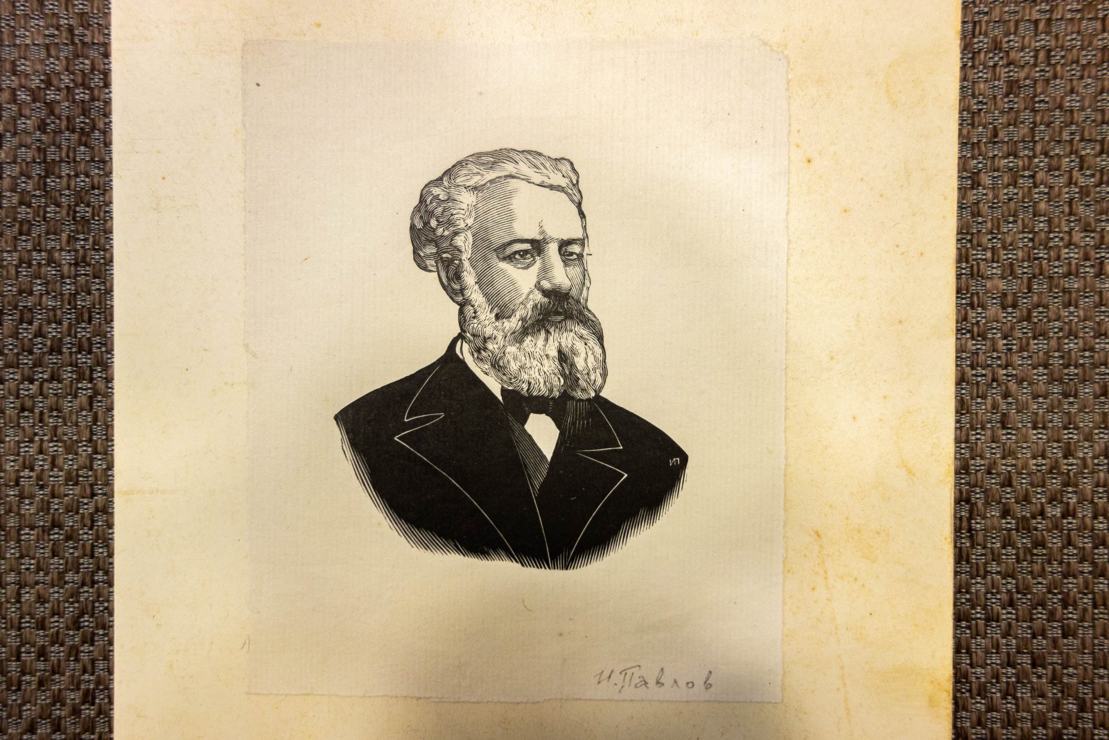 Павлов, И.Н. Портрет Жюль Верна.