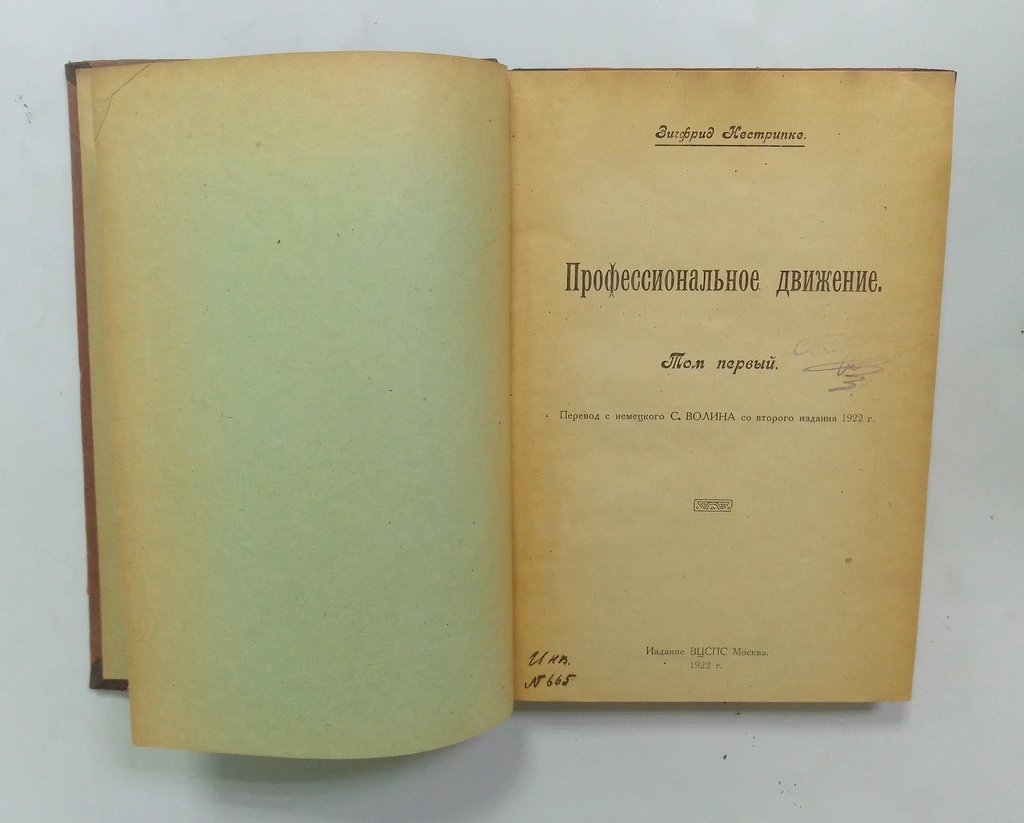 Нестрипке, Зигфрид. Профессиональное движение.