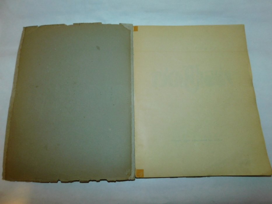 Efross A., N. Punin N. [ Эфрос А., Пунин Н.] Tschechonin [С. Чехонин]